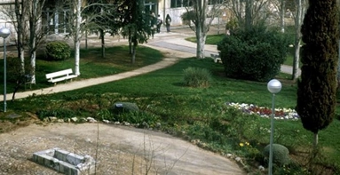 Actividades de Empleabilidad Facultad de Ciencias
